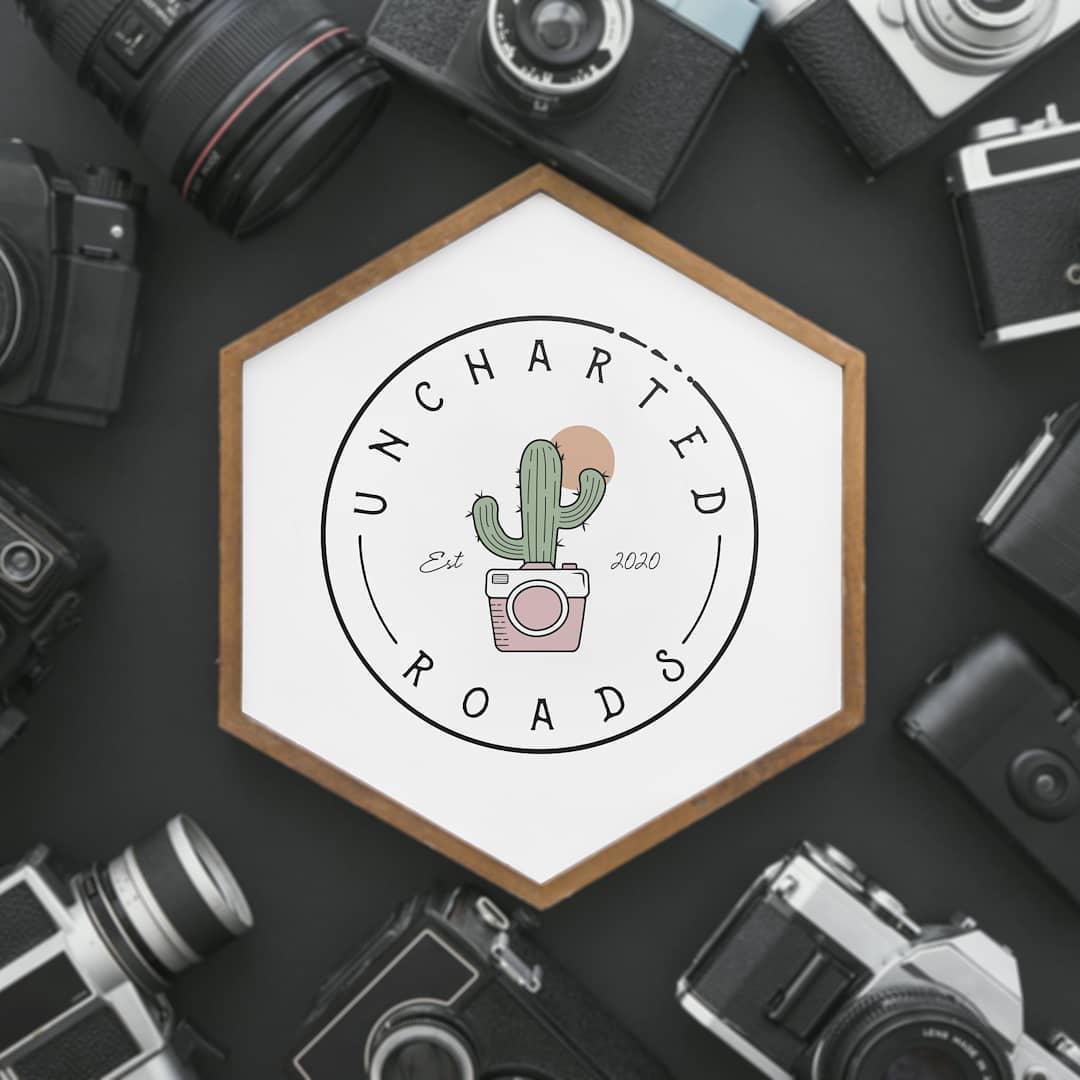 Cactus Camera — view 3