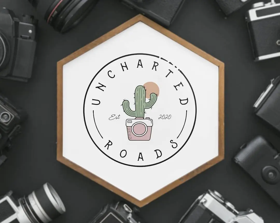 Cactus Camera online Logo design Mockup
